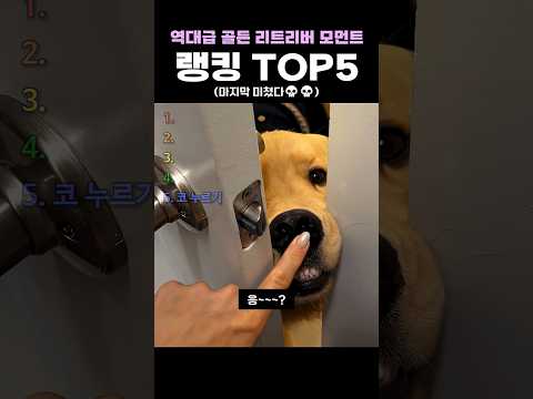 역대급 골든 리드리버 모먼트 랭킹 TOP5