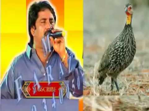 Mumtaz Molai New Album Yaar Bhi Safa Karo Teter AA _bEST oFF 2018