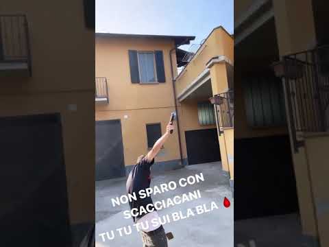 Sapo Bully spara in aria