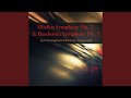 Symphony in D Major, Op. 43: I. Allegretto - Poco allegro - Tranquillo, ma poco a poco...