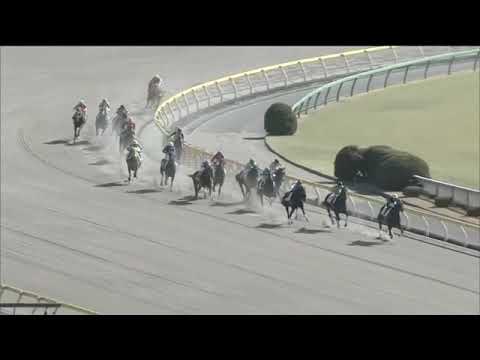 2020.02.23 2yo Newcomer (JPN) - Mytyl