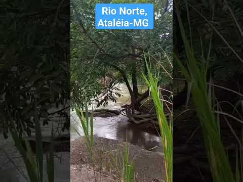 Rio Norte, no Município de Ataléia-MG, altura da camunidade do Roncamento, Vale do Mucuri.