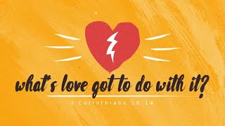 What's Love Got To Do With It?