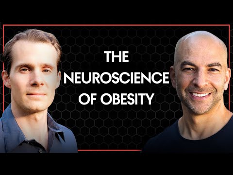 212 - The Neuroscience of Obesity | Peter Attia, M.D. & Stephan Guyenet, Ph.D.