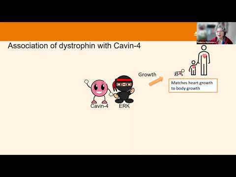 MDUK Muscles Matter 2021: Becker muscular dystrophy