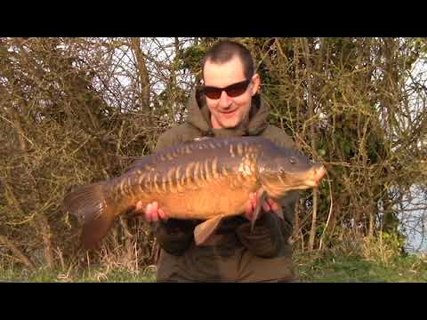 nash promtion team social 2018