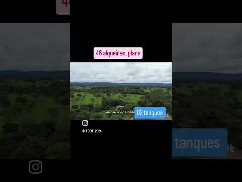 vende se, fazenda com 45 alqueires, plana, Formada localizada em Formosa GO 61 98665 2087