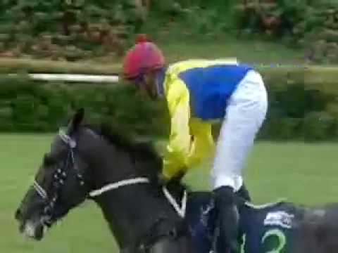 [Raffles Cup] Year 2010 - Better Than Ever