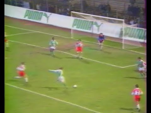 ASSE 2-0 Cannes - 33e journée de D1 1991-1992