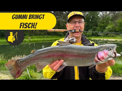 Gummi bringt Fisch