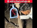 रात 12 बजे आईने पर दिखने वाली चुड़ैल OMG Mr In