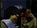 Sesame Street Should I Wake Up Bert