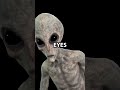 The UFO Abduction Of Betty Barney Hill