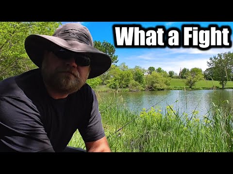 Catching BIG Carp with a BIG Hat On (Crazy Double Action)