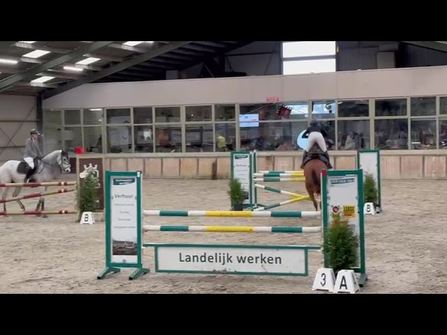 Montana @ the show