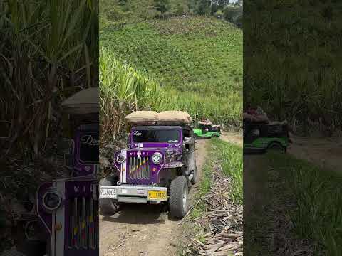 ¿Ha recorrido estas rutas? 👇El Cairo, Valle del Cauca,