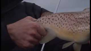 preview picture of video 'Lake Wendouree Ballarat Trout Fishing'