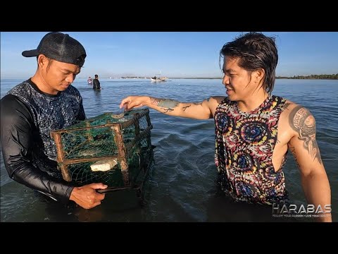 EP801-P2 - Overnight Camping at Panghuhuli ng Alimasag