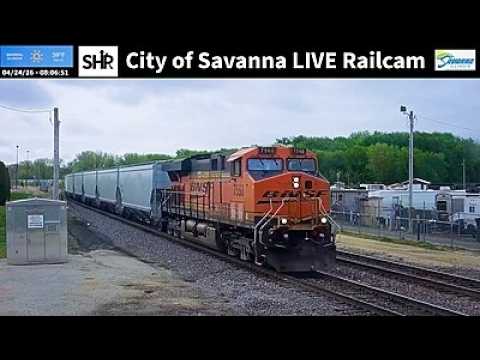 Live webcam view of Railcam en vivo del Mississippi en Savanna