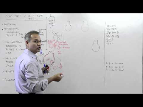 Dead Space and Respiratory Zone in 3 Minutes