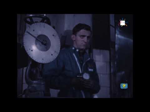 Il puledro d'acciaio (Raffaele Andreassi, 1955)