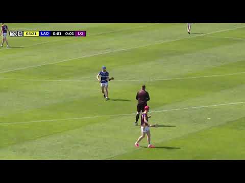 Laois v Wexford, Leinster Minor Hurling Ch, 2025