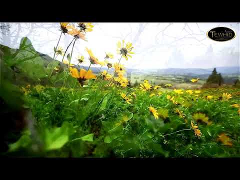 KO JE ISTINSKI TVOJ GOSPODAR - Hfz Dr. Muhamed Porča