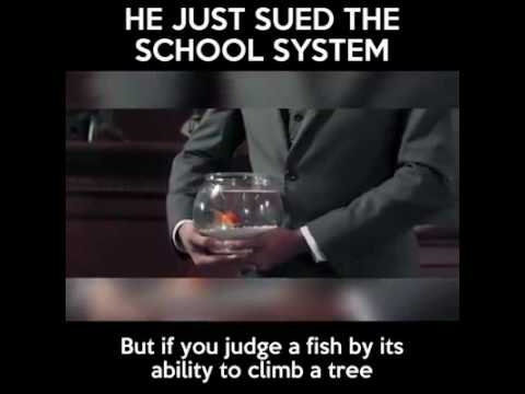 Albert Einstein once said, everybody is genius. Judge a fish by its ability to climb a tree. School