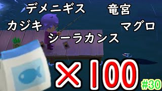 【あつまれどうぶつの森】桟橋で撒き餌100コ投げたら奇跡が起きた#30【ユートピア島】
