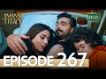 Amanat (Legacy) - Episode 267 | Urdu Dubbed