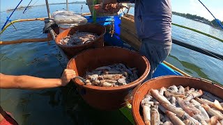 Dagsa ang Pusit 100 Kilo's Huli ng Bawat Bangka Gamit ang Kiw-kiw | BillyAillySeaTV