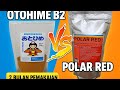 UJI NYATA 2 BULAN PEMAKAIAN Mana Pakan Guppy Terbaik OTOHIME VS POLAR RED