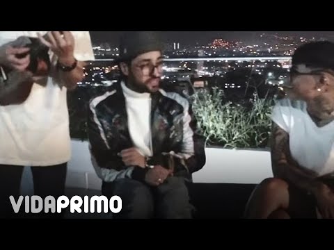 Elysanij x Dálmata - Como Toda Una Señora [En Vivo] @ Colombia