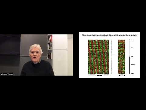 Michael Young at GYSS 2021 - Genetic Control of Sleep and CircadianRhythms