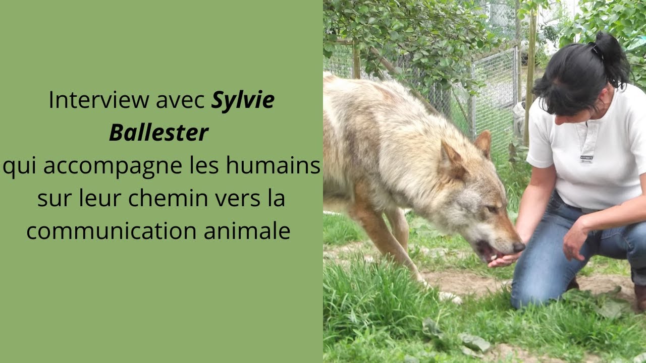 Interview Sylvie partie 1