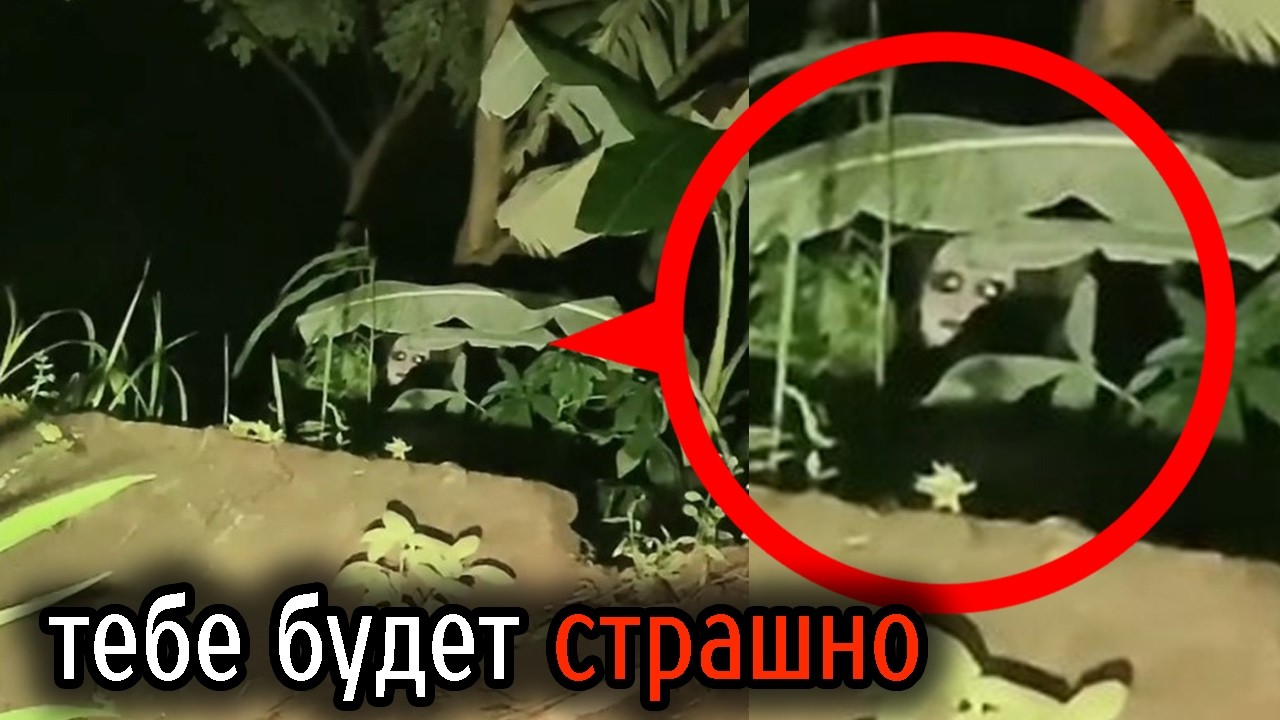 Самые Ужасные Видео со Всего Мира #92