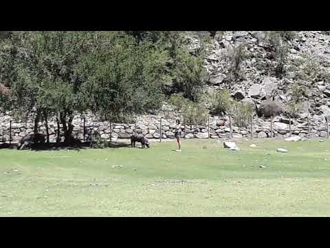Nogoli san luis camping agrestre 