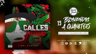 15. Bienvenidos a Guanatos - Bajo Perfil ft Los Chavalos de la Perla (Audio Oficial)