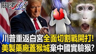 川普獲勝重返白宮「全面切割戰」開打！ 美製藥廠蓋「迷你猴城」棄「中國實驗猴」！？【關鍵時刻】20241106-4 劉寶傑 呂國禎 邱師儀 黃世聰 姚惠珍 陳國銘 張禹宣 [ENG SUB]