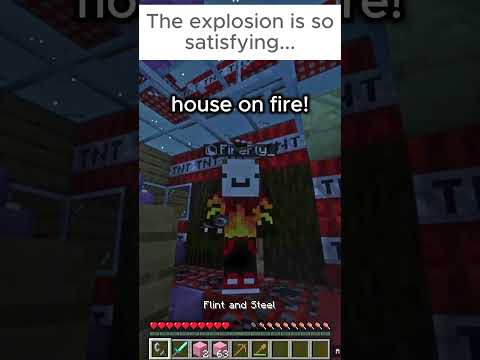 FireFly_ DESTROYED his house! Insane villager AI!