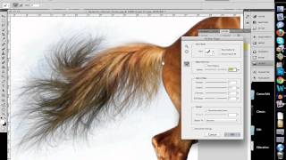 How to Quickly Select Images - Cut Out Detailed Images in Photoshop CS 5