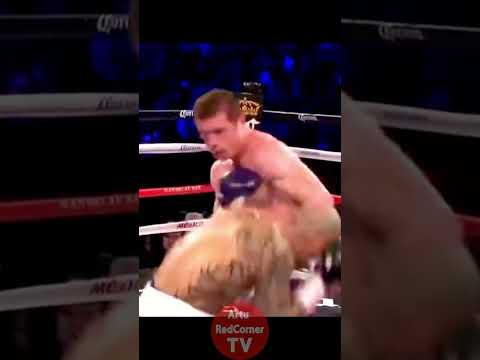 Canelo Alvarez vs Miguel Cotto