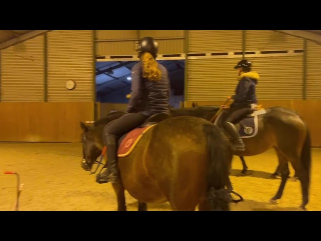 Poney de sport C - petit D - 4 ans - pr&ecirc;t sur un tour