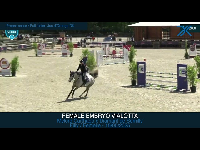 Female embryo Vialotta