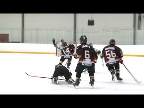 Haukat   GRIFK E08 201019