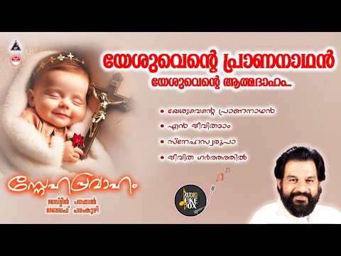 സ്നേഹപ്രവാഹം | Sneha Pravaham | Christian Devotional Songs Malayalam | Christian Songs Malayalam |
