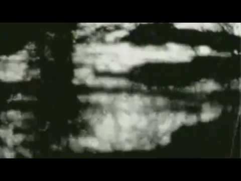 Active Member - Η μελωδία της Παρακμής (Video HD)