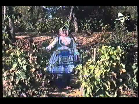 Maria Šagova-Lakatošova