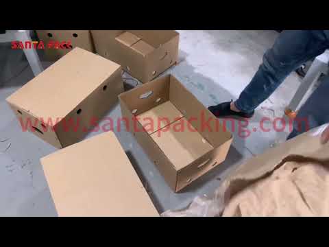 #shorts Hot-melt glue case erector for fruit box.Automatic and fast packing machine-Santa Pack