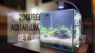 20cmキューブ水槽無濾過無添加立ち上げ【Aquarium Diary】Vlog